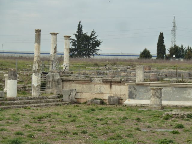 LUCUS FERONIAE