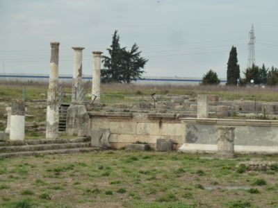 LUCUS FERONIAE