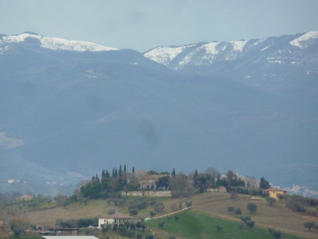 COLLEVECCHIO