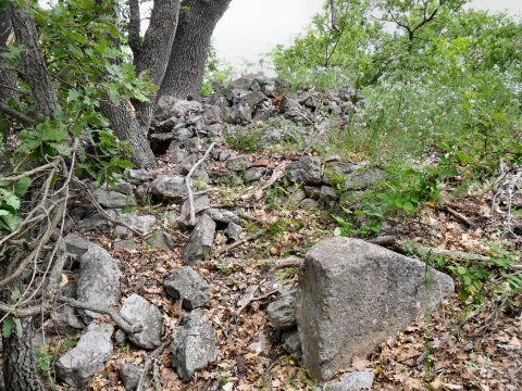 Schiavi
